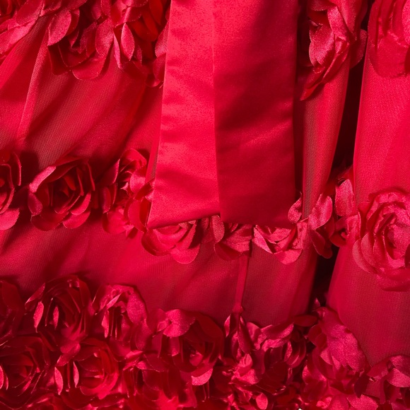Bonnie Jean red dress in satin like material & beautiful rose skirting, size 6X - Picture 3 of 7